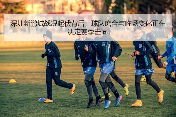 深圳新鹏城战况起伏背后，球队磨合与临场变化正在决定赛季走向 | bet365